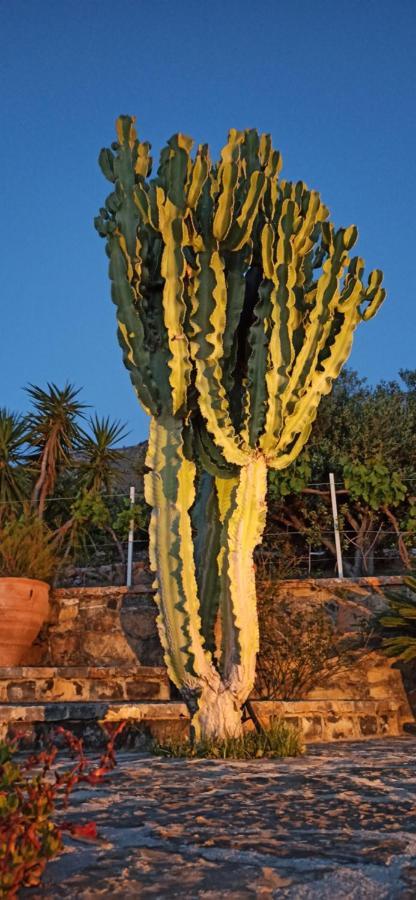 Villa Tholos Crete Kavoúsion エクステリア 写真