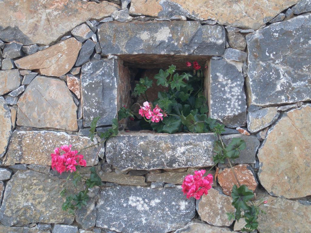 Villa Tholos Crete Kavoúsion エクステリア 写真